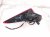 2020 Toyota Avalon Light / Rear Driver Tail Lamp (on Body) 81560 07090 Replacement 2020 Toyota Avalon Light / Rear Driver Tail Lamp (on Body) 81560 07090 Replacement thumbnail