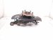 2020 Toyota Avalon Front Driver Spindle Knuckle Hub *chk 43330 09A30 Replacement 2020 Toyota Avalon Front Driver Spindle Knuckle Hub *chk 43330 09A30 Replacement thumbnail