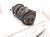 2020 Toyota Avalon Front Passenger Strut Absorber + Spring *chk 48510 8Z573 Replacement 2020 Toyota Avalon Front Passenger Strut Absorber + Spring *chk 48510 8Z573 Replacement thumbnail