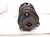 2020 Toyota Avalon Front Driver Strut Absorber + Spring *chk 48520 8Z294 Replacement 2020 Toyota Avalon Front Driver Strut Absorber + Spring *chk 48520 8Z294 Replacement thumbnail