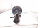 2020 Toyota Avalon Front Driver Strut Absorber + Spring *chk 48520 8Z294 Replacement 2020 Toyota Avalon Front Driver Strut Absorber + Spring *chk 48520 8Z294 Replacement thumbnail
