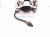2020 Toyota Avalon Front Passenger Brake Caliper 47750 33390 Replacement 2020 Toyota Avalon Front Passenger Brake Caliper 47750 33390 Replacement thumbnail