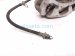2020 Toyota Avalon Core Front Driver Brake Caliper 47750 06321 Replacement 2020 Toyota Avalon Core Front Driver Brake Caliper 47750 06321 Replacement thumbnail
