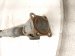 2019 Chrysler 300 Front Propeller Shaft 3.6l Awd 68200149AD Replacement 2019 Chrysler 300 Front Propeller Shaft 3.6l Awd 68200149AD Replacement thumbnail