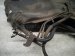 2002 Lexus Sc430 Gas / Fuel Tank 77001 24091 Replacement 2002 Lexus Sc430 Gas / Fuel Tank 77001 24091 Replacement thumbnail