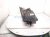 2018 Honda Clarity Headlight Passenger Headlamp / Light 33100 TRW A01 Replacement 2018 Honda Clarity Headlight Passenger Headlamp / Light 33100 TRW A01 Replacement thumbnail