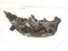 2024 Toyota Rav 4 Headlight Driver Headlamp / Light 81150 0R350 Replacement 2024 Toyota Rav 4 Headlight Driver Headlamp / Light 81150 0R350 Replacement thumbnail