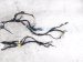 2025 Honda Civic Instrument Wire Harness sport 2.0 32117 T56 A20 Replacement 2025 Honda Civic Instrument Wire Harness sport 2.0 32117 T56 A20 Replacement thumbnail