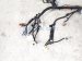 2025 Honda Civic Instrument Wire Harness sport 2.0 32117 T56 A20 Replacement 2025 Honda Civic Instrument Wire Harness sport 2.0 32117 T56 A20 Replacement thumbnail