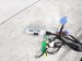 2025 Honda Civic Instrument Wire Harness sport 2.0 32117 T56 A20 Replacement 2025 Honda Civic Instrument Wire Harness sport 2.0 32117 T56 A20 Replacement thumbnail