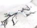 2025 Honda Civic Instrument Wire Harness sport 2.0 32117 T56 A20 Replacement 2025 Honda Civic Instrument Wire Harness sport 2.0 32117 T56 A20 Replacement thumbnail