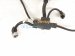 2021 Toyota Rav 4 Front Bumper Wire Harness 82219 06100 Replacement 2021 Toyota Rav 4 Front Bumper Wire Harness 82219 06100 Replacement thumbnail
