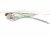 2019 Toyota C HR Front Driver Window Regulator & Motor 69802 10110 Replacement 2019 Toyota C HR Front Driver Window Regulator & Motor 69802 10110 Replacement thumbnail