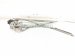 2019 Toyota C HR Front Driver Window Regulator & Motor 69802 10110 Replacement 2019 Toyota C HR Front Driver Window Regulator & Motor 69802 10110 Replacement thumbnail