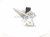 2019 Toyota C HR Rear Driver Window Regulator & Motor 85710 10120 Replacement 2019 Toyota C HR Rear Driver Window Regulator & Motor 85710 10120 Replacement thumbnail