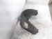 2024 Hyundai Sonata Rear Passenger Inner Fender Liner 86822 l1500 Replacement 2024 Hyundai Sonata Rear Passenger Inner Fender Liner 86822 l1500 Replacement thumbnail