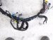 2020 Honda Pilot Dash Instrument Wire Harness Fwd 32117 TG8 AF1 Replacement 2020 Honda Pilot Dash Instrument Wire Harness Fwd 32117 TG8 AF1 Replacement thumbnail