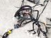 2020 Honda Pilot Dash Instrument Wire Harness Fwd 32117 TG8 AF1 Replacement 2020 Honda Pilot Dash Instrument Wire Harness Fwd 32117 TG8 AF1 Replacement thumbnail