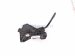 2020 Toyota Avalon Gas / Accelerator Pedal Assy 2.5l 78110 06060 Replacement 2020 Toyota Avalon Gas / Accelerator Pedal Assy 2.5l 78110 06060 Replacement thumbnail