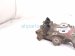 2018 Toyota Tacoma Thermostat Housing Assy 3.5l 16321 22050 Replacement 2018 Toyota Tacoma Thermostat Housing Assy 3.5l 16321 22050 Replacement thumbnail