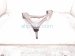 2024 Chevy Corvette Rear Passenger Lateral Lower Control Arm 85081631 Replacement 2024 Chevy Corvette Rear Passenger Lateral Lower Control Arm 85081631 Replacement thumbnail