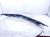 2017 Chevy Malibu Upper Grille Black / Chrome 84061034 Replacement 2017 Chevy Malibu Upper Grille Black / Chrome 84061034 Replacement thumbnail