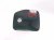 2000 Toyota Tacoma Fuel Filler Door Green 77350 0K020 Replacement 2000 Toyota Tacoma Fuel Filler Door Green 77350 0K020 Replacement thumbnail