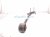 2000 Toyota Tacoma Front Driver Radius Arm 48670 35011 Replacement 2000 Toyota Tacoma Front Driver Radius Arm 48670 35011 Replacement thumbnail