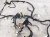 2024 Mazda Cx 50 Dash Instrument Wire Harness Awd VA73 67 030D Replacement 2024 Mazda Cx 50 Dash Instrument Wire Harness Awd VA73 67 030D Replacement thumbnail