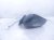2025 Subaru Forester Rear Driver Side View Mirror Grey 91036SL160 Replacement 2025 Subaru Forester Rear Driver Side View Mirror Grey 91036SL160 Replacement thumbnail