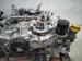 2025 Subaru Forester Long Block Engine / Motor = 12k Mi 10100CF690 Replacement 2025 Subaru Forester Long Block Engine / Motor = 12k Mi 10100CF690 Replacement thumbnail