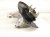 2025 Subaru Forester Axle Stub Rear Passenger Spindle Knuckle Hub 28411FN040 Replacement 2025 Subaru Forester Axle Stub Rear Passenger Spindle Knuckle Hub 28411FN040 Replacement thumbnail