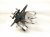 2025 Subaru Forester Axle Stub Rear Passenger Spindle Knuckle Hub 28411FN040 Replacement 2025 Subaru Forester Axle Stub Rear Passenger Spindle Knuckle Hub 28411FN040 Replacement thumbnail