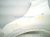 2021 Nissan Rogue Front Driver Fender White *ding 63101 6RR0A Replacement 2021 Nissan Rogue Front Driver Fender White *ding 63101 6RR0A Replacement thumbnail
