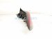 2021 Nissan Rogue Light / Rear Driver Tail Lamp (on Body) 26555 6RR0D Replacement 2021 Nissan Rogue Light / Rear Driver Tail Lamp (on Body) 26555 6RR0D Replacement thumbnail