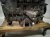 2021 Nissan Rogue Long Block Engine / Motor = 87k Mi 11000 6CA0A Replacement 2021 Nissan Rogue Long Block Engine / Motor = 87k Mi 11000 6CA0A Replacement thumbnail