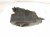 2021 Nissan Rogue Air Cleaner Intake Box 16500 6RA1A Replacement 2021 Nissan Rogue Air Cleaner Intake Box 16500 6RA1A Replacement thumbnail