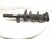 2021 Nissan Rogue Front Driver Strut Absorber + Spring E4303 6RR1E Replacement 2021 Nissan Rogue Front Driver Strut Absorber + Spring E4303 6RR1E Replacement thumbnail