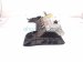 2018 Toyota Corolla Airbag Driver Knee Air Bag 73900 02070 C0 Replacement 2018 Toyota Corolla Airbag Driver Knee Air Bag 73900 02070 C0 Replacement thumbnail