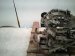 2018 Toyota Corolla Automatic Transmission = 112k Mi 30410 12160 84 Replacement 2018 Toyota Corolla Automatic Transmission = 112k Mi 30410 12160 84 Replacement thumbnail