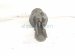 2018 Toyota Corolla Front Driver Strut Absorber + Spring 48520 8Z154 Replacement 2018 Toyota Corolla Front Driver Strut Absorber + Spring 48520 8Z154 Replacement thumbnail