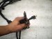 2019 BMW 330i Engine Wire Harness 2.0t Rwd 8 743 493 Replacement 2019 BMW 330i Engine Wire Harness 2.0t Rwd 8 743 493 Replacement thumbnail