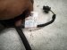 2019 BMW 330i Engine Wire Harness 2.0t Rwd 8 743 493 Replacement 2019 BMW 330i Engine Wire Harness 2.0t Rwd 8 743 493 Replacement thumbnail