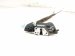 2019 Toyota C HR Front Driver Door Lock Actuator 69040 53130 Replacement 2019 Toyota C HR Front Driver Door Lock Actuator 69040 53130 Replacement thumbnail