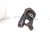 2023 Dodge Ram 1500 Engine/motor Driver Engine Mount 3.6l 4x2 68159627AF Replacement 2023 Dodge Ram 1500 Engine/motor Driver Engine Mount 3.6l 4x2 68159627AF Replacement thumbnail
