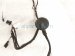 2023 Audi A3 Audi Rear Door Wire Harness 8Y0 971 688 H Replacement 2023 Audi A3 Audi Rear Door Wire Harness 8Y0 971 688 H Replacement thumbnail