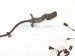 2023 Audi A3 Audi Rear Door Wire Harness 8Y0 971 688 H Replacement 2023 Audi A3 Audi Rear Door Wire Harness 8Y0 971 688 H Replacement thumbnail