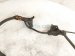 2019 Toyota C HR Rear Passenger Abs Speed Sensor Wire 890C0 10030 Replacement 2019 Toyota C HR Rear Passenger Abs Speed Sensor Wire 890C0 10030 Replacement thumbnail
