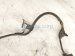 2019 Toyota C HR Rear Passenger Abs Speed Sensor Wire 890C0 10030 Replacement 2019 Toyota C HR Rear Passenger Abs Speed Sensor Wire 890C0 10030 Replacement thumbnail