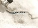 2019 Toyota C HR Ac Hose Pipe A/c Liquid Line 2.0l Fwd 88710 10200 Replacement 2019 Toyota C HR Ac Hose Pipe A/c Liquid Line 2.0l Fwd 88710 10200 Replacement thumbnail